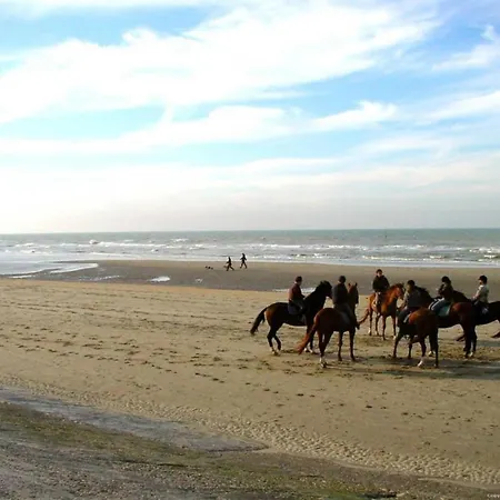 דירה In With Sea Views בלנקנברג