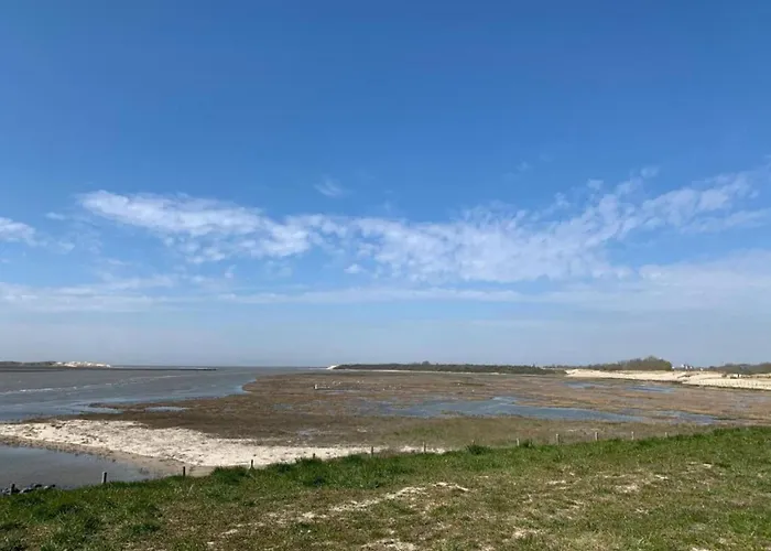 In With Sea Views * בלנקנברג