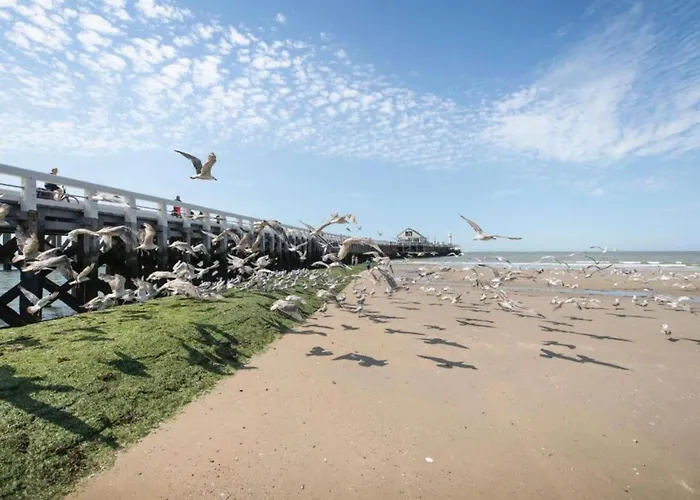 דירה In With Sea Views